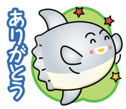 mola boy sticker #14970640