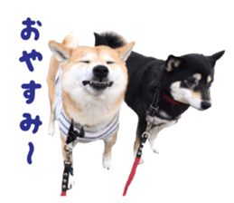 HANA BOUKUN sticker #14970985