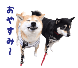 HANA BOUKUN sticker #14970985