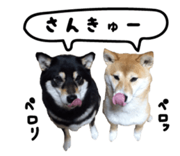 HANA BOUKUN sticker #14970989