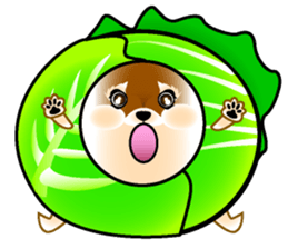 AYA and MERCI sticker #14971138