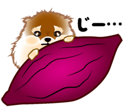 AYA and MERCI sticker #14971140