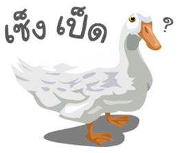 Just pic and words sticker #14971884