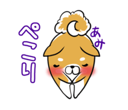 AMI's exclusive sticker sticker #14972233