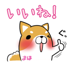 MAHO's exclusive sticker sticker #14972488