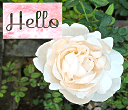 Duke's Flowers 3 sticker #14972974