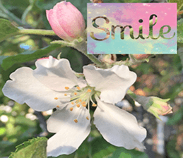 Duke's Flowers 3 sticker #14972979