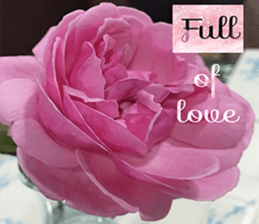 Duke's Flowers 3 sticker #14972980