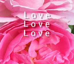 Duke's Flowers 3 sticker #14972984