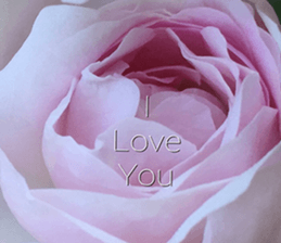 Duke's Flowers 3 sticker #14972990