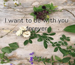 Duke's Flowers 3 sticker #14972992