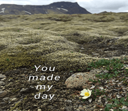 Duke's Flowers 3 sticker #14972994