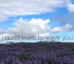 Duke's Flowers 3 sticker #14972997