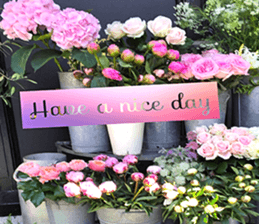 Duke's Flowers 3 sticker #14972998