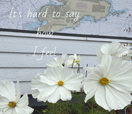 Duke's Flowers 3 sticker #14973000