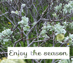 Duke's Flowers 3 sticker #14973004