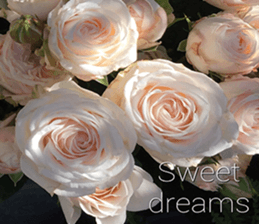 Duke's Flowers 3 sticker #14973009