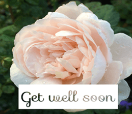 Duke's Flowers 3 sticker #14973011