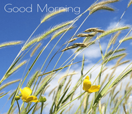 Duke's Flowers 3 sticker #14973012