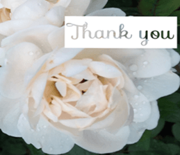 Duke's Flowers 3 sticker #14973013