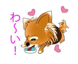 Pupu of Chihuahuas sticker #14974056