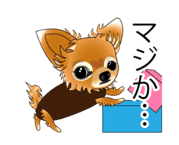 Pupu of Chihuahuas sticker #14974060