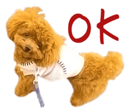 Cute dog Anne-kun sticker #14974168