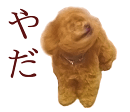 Cute dog Anne-kun sticker #14974169