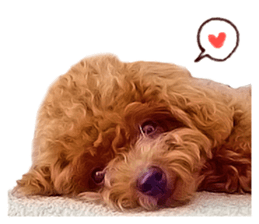 Cute dog Anne-kun sticker #14974171