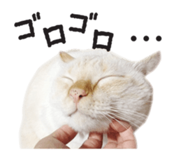 White big cute cat sticker #14976128