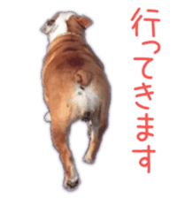 Bulldogs of BULLTO family sticker #14976650