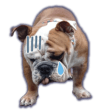 Bulldogs of BULLTO family sticker #14976655