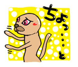 Cat reaction. Afro cat. sticker #14977229