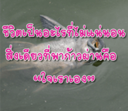 Daily messages for you sticker #14979087