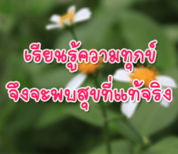 Daily messages for you sticker #14979088