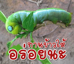 Daily messages for you sticker #14979089