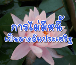 Daily messages for you sticker #14979091