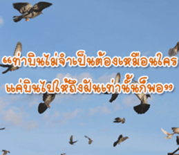 Daily messages for you sticker #14979093