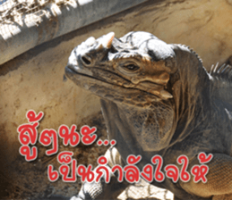 Daily messages for you sticker #14979095