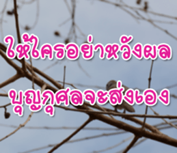 Daily messages for you sticker #14979098