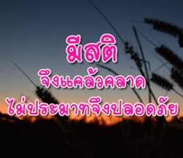 Daily messages for you sticker #14979105