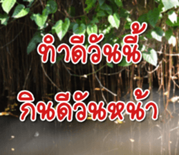 Daily messages for you sticker #14979106