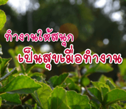 Daily messages for you sticker #14979112