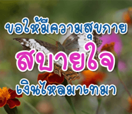 Daily messages for you sticker #14979117