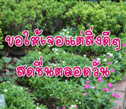 Daily messages for you sticker #14979120