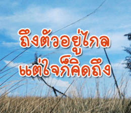 Daily messages for you sticker #14979122