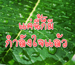 Daily messages for you sticker #14979124