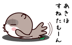 I am Akiho sticker #14979622