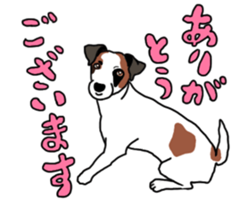 POPEYE the Jack Russell Terrier sticker #14981466