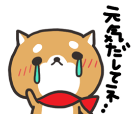Daily life of the Japanese Shiba inu 2 sticker #14982659